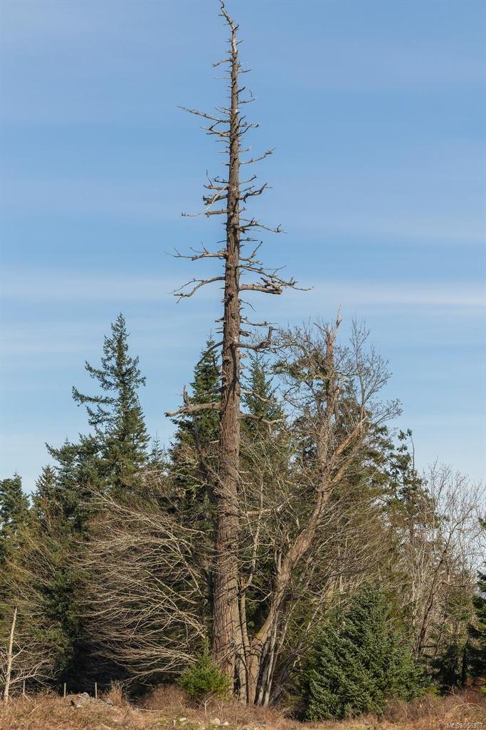 243 Cape Mudge Rd, Quadra Island, BC - Outdoor With View