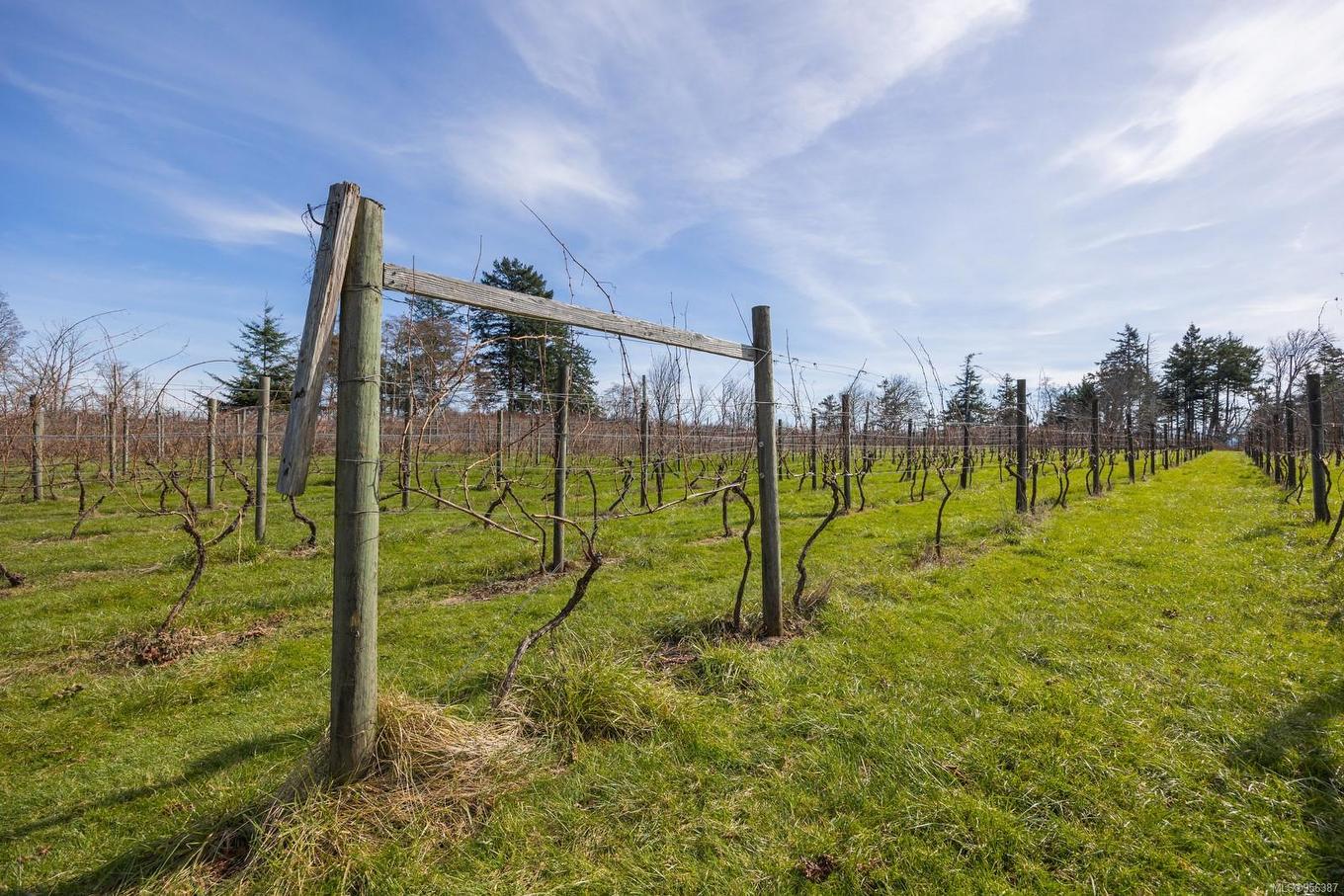 243 Cape Mudge Rd, Quadra Island, BC - Outdoor With View