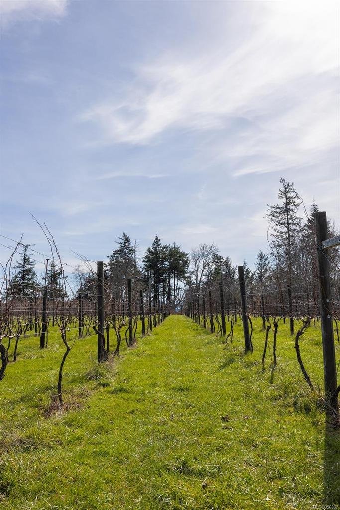 243 Cape Mudge Rd, Quadra Island, BC - Outdoor With View