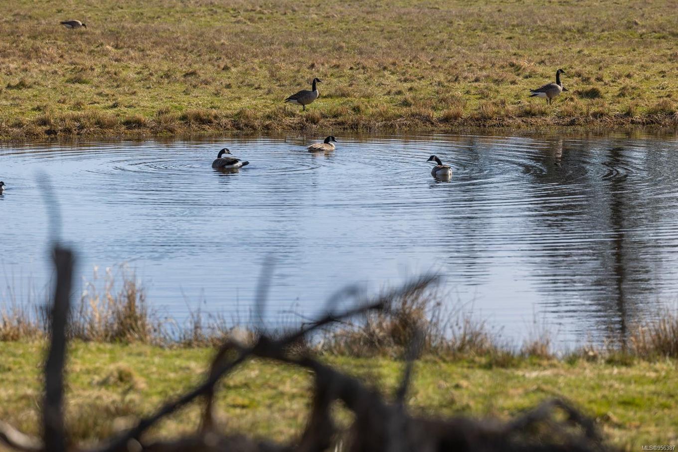 243 Cape Mudge Rd, Quadra Island, BC - Outdoor With Body Of Water With View