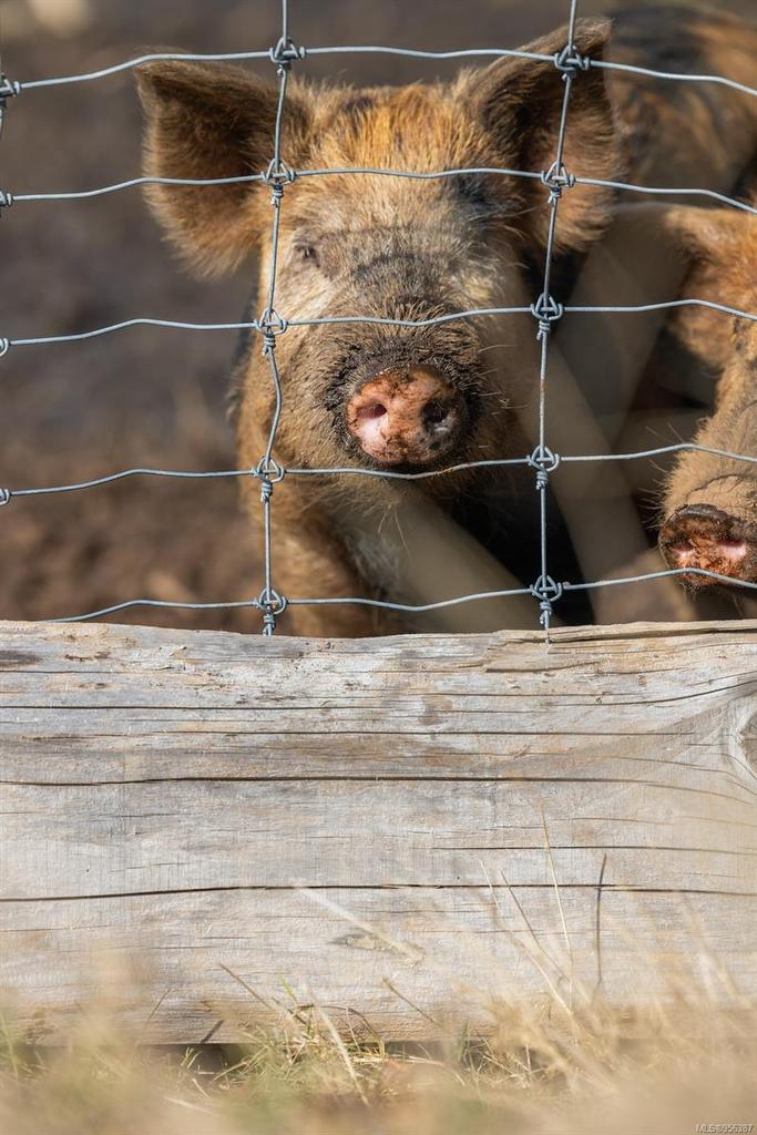 243 Cape Mudge Rd, Quadra Island, BC - With Exterior