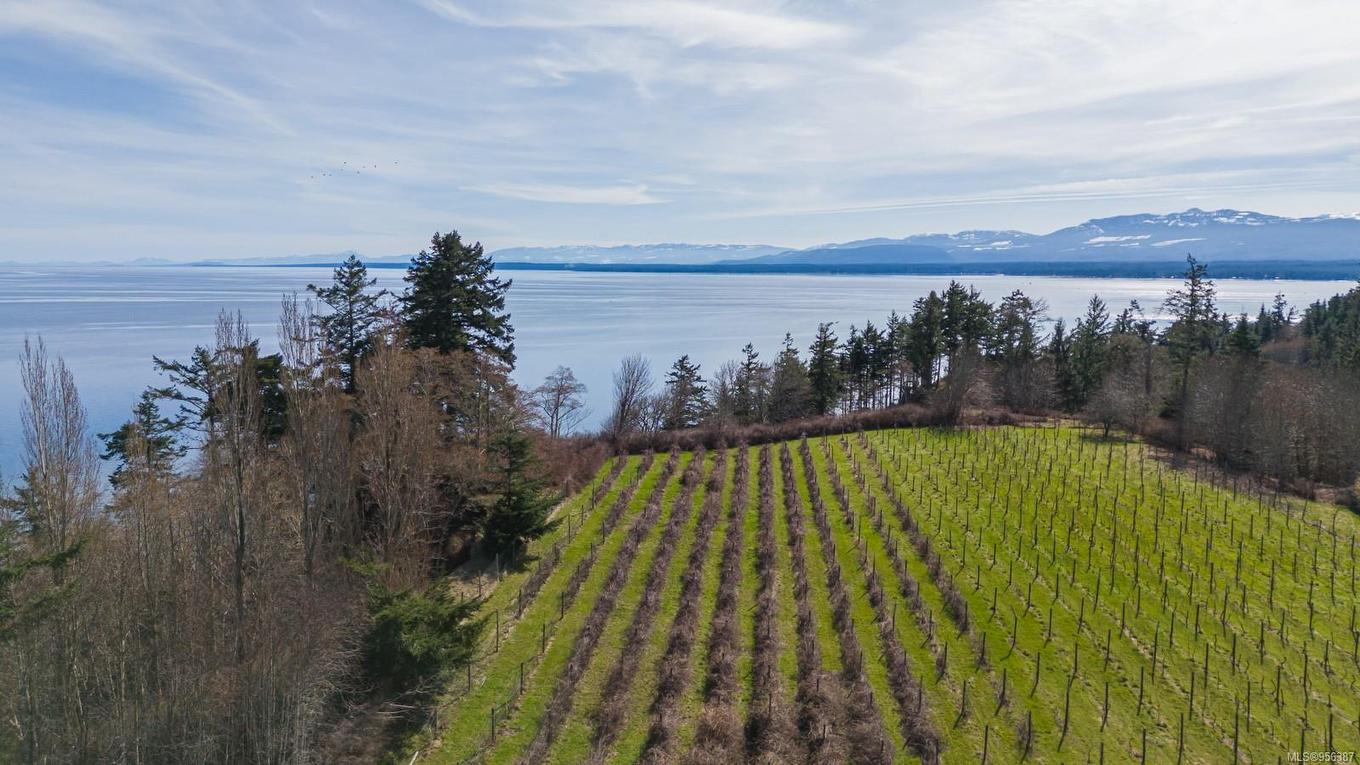 243 Cape Mudge Rd, Quadra Island, BC - Outdoor With Body Of Water With View