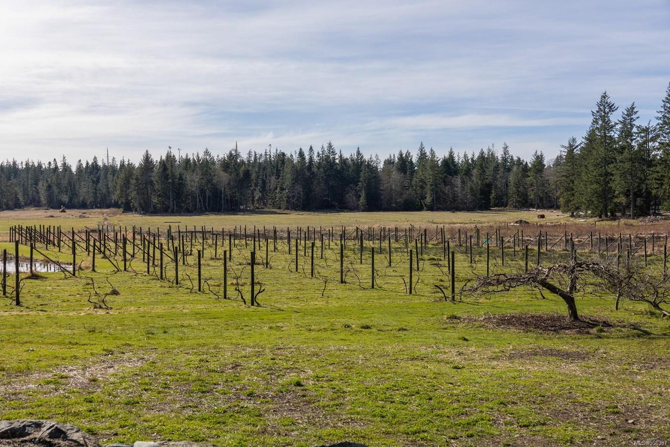 243 Cape Mudge Rd, Quadra Island, BC - Outdoor With View