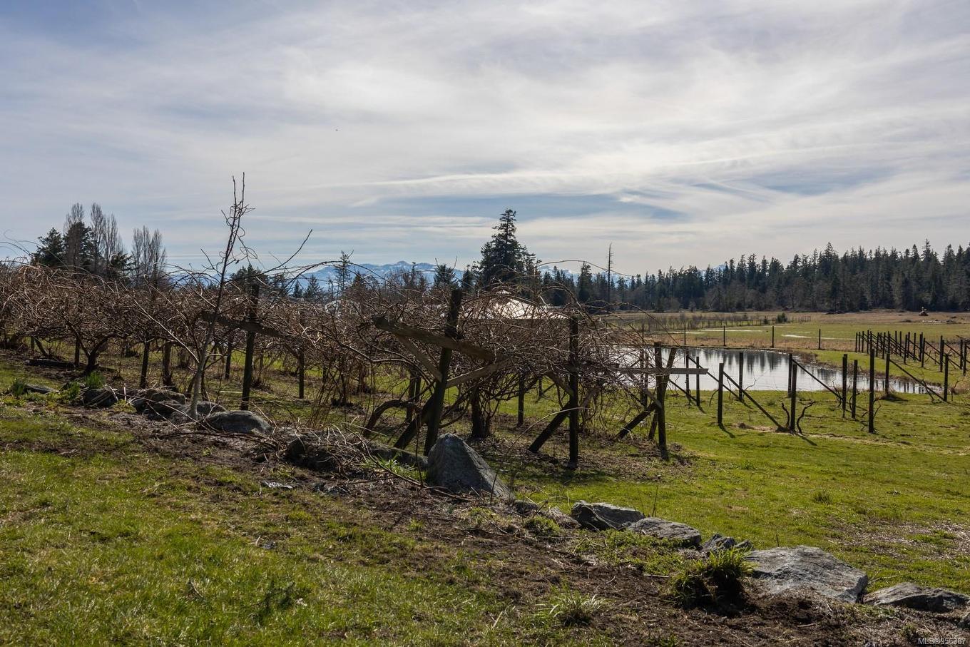 243 Cape Mudge Rd, Quadra Island, BC - Outdoor With View