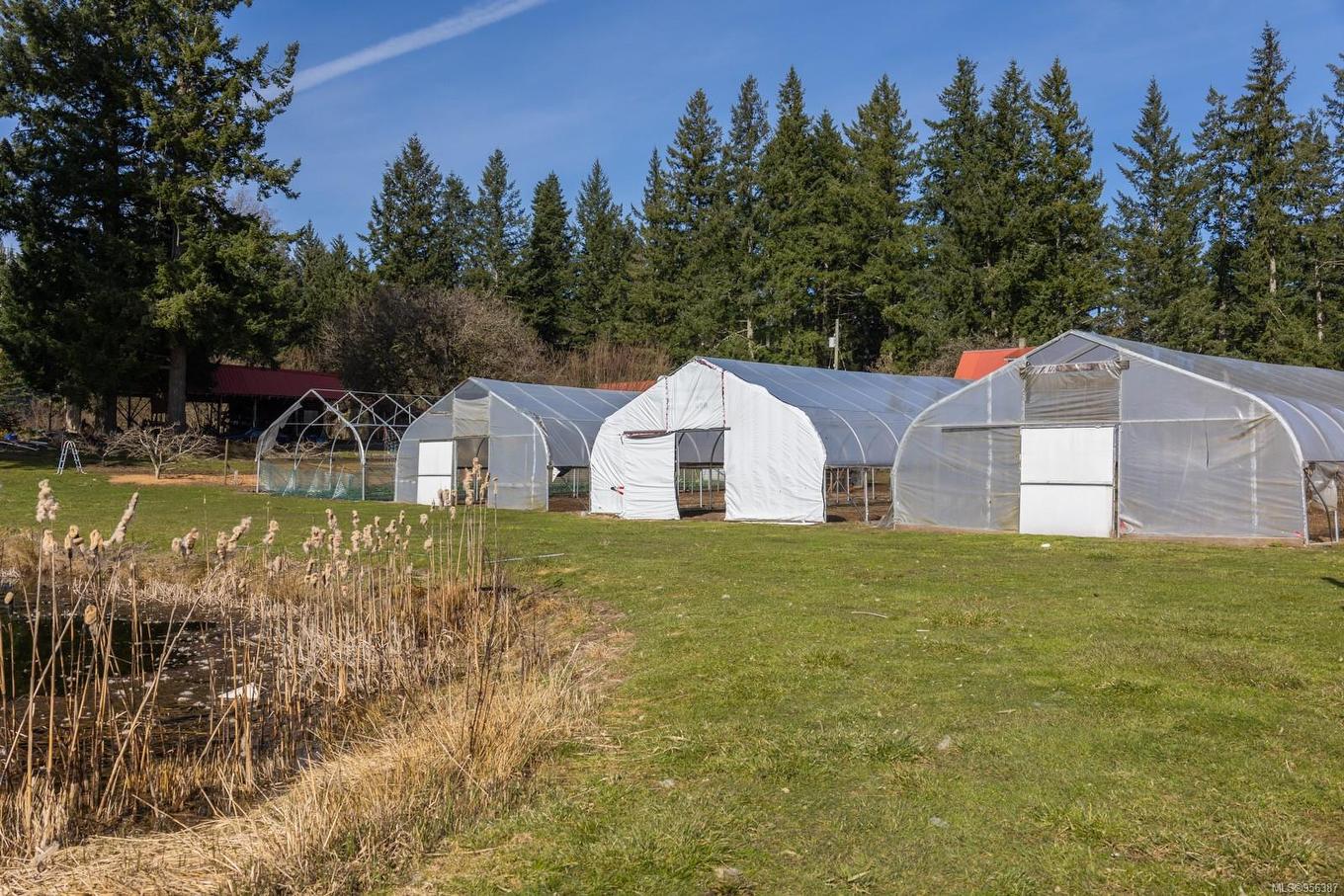 243 Cape Mudge Rd, Quadra Island, BC - Outdoor