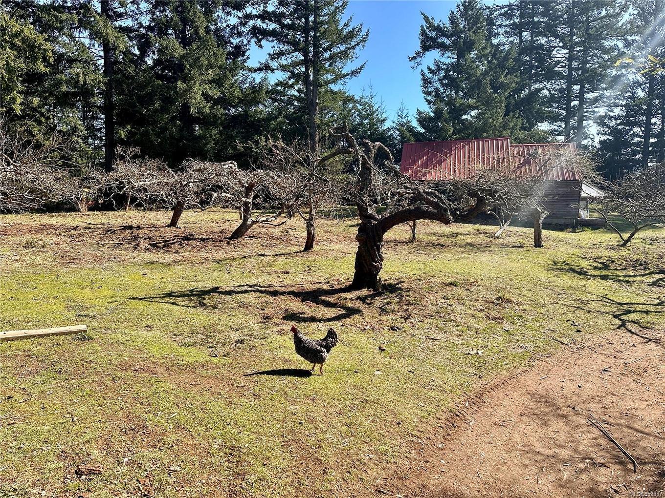 243 Cape Mudge Rd, Quadra Island, BC - Outdoor With View