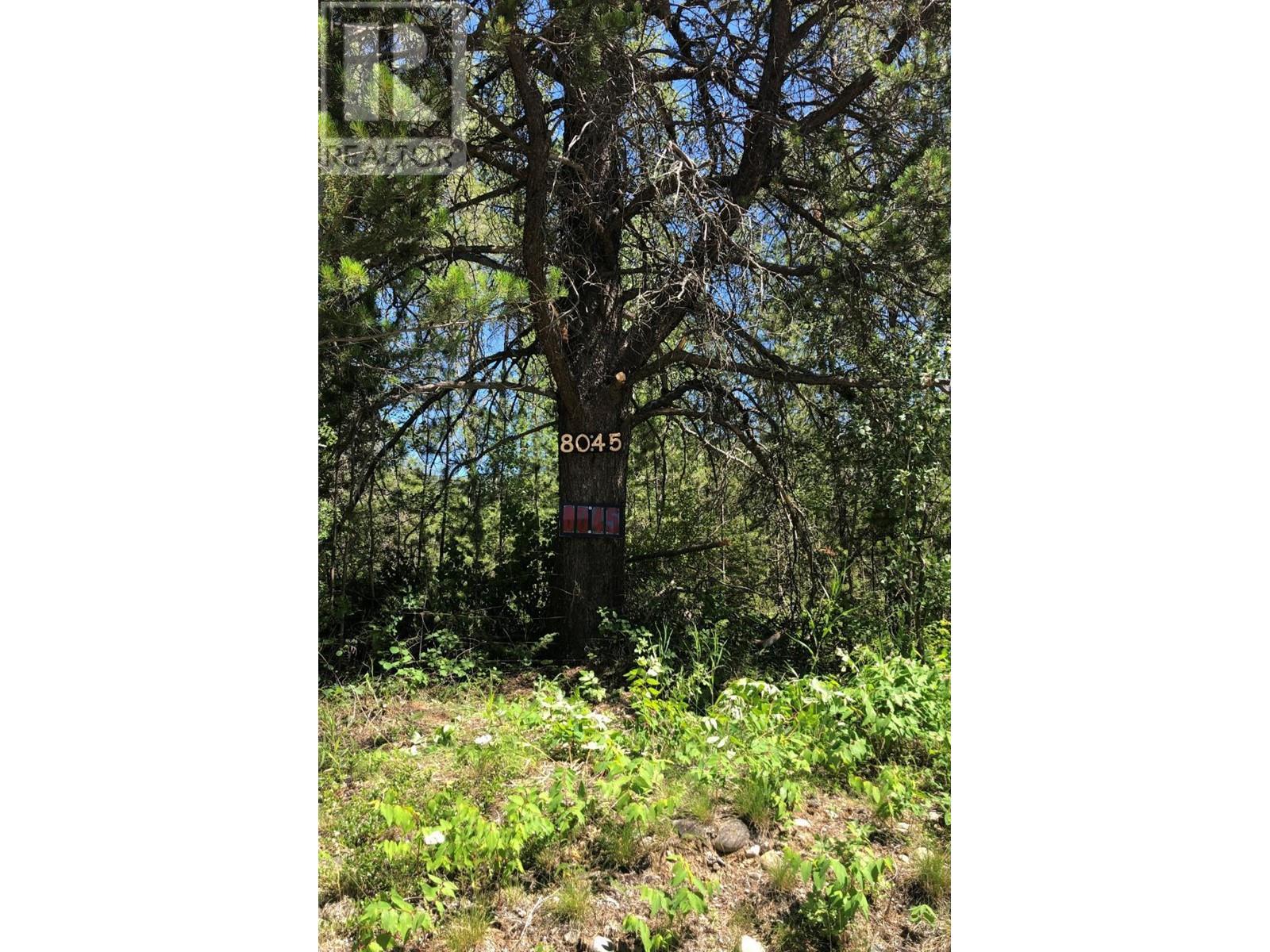 8045 95 Highway, Kingsgate, BC