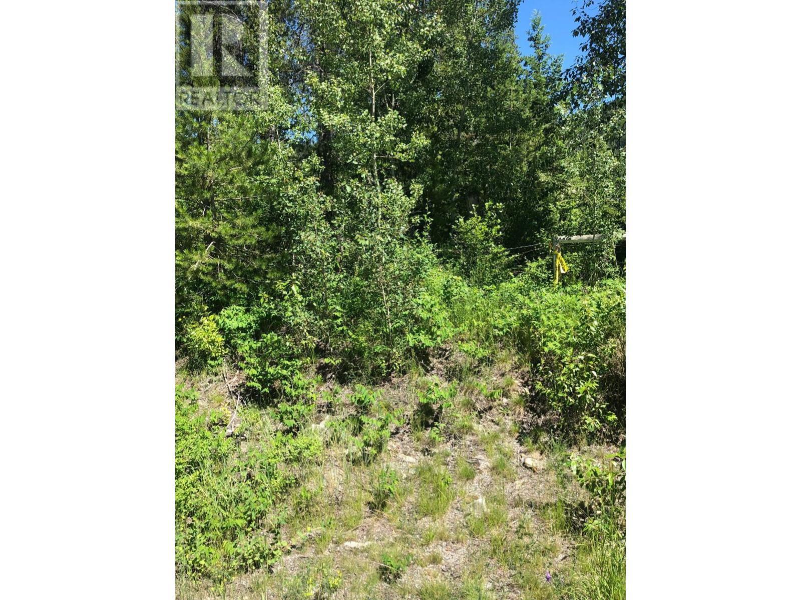 8045 95 Highway, Kingsgate, BC