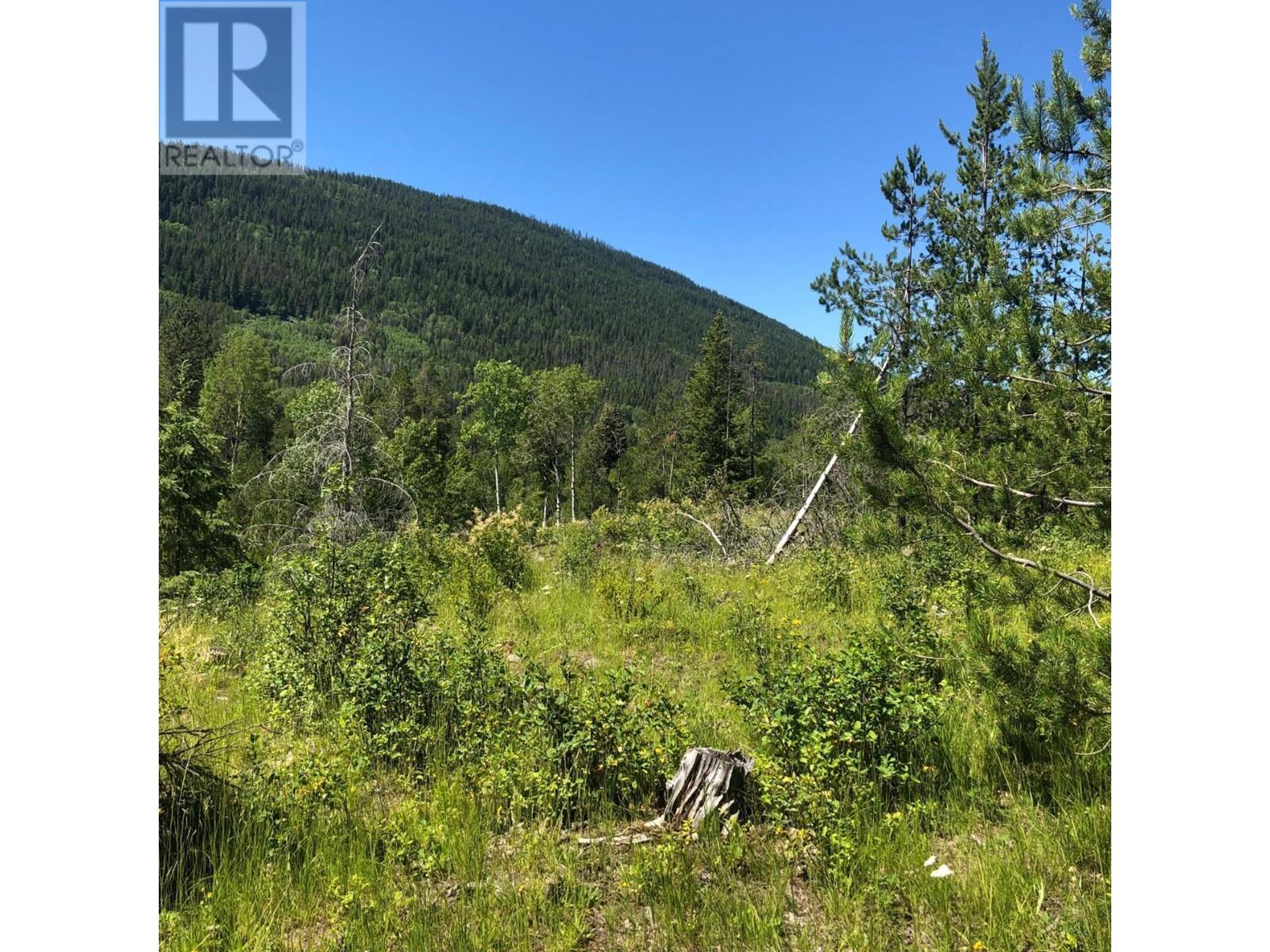 8045 95 Highway, Kingsgate, BC