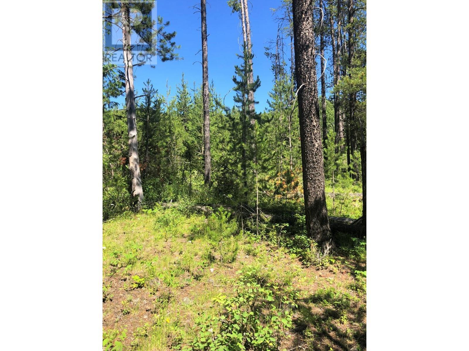 8045 95 Highway, Kingsgate, BC