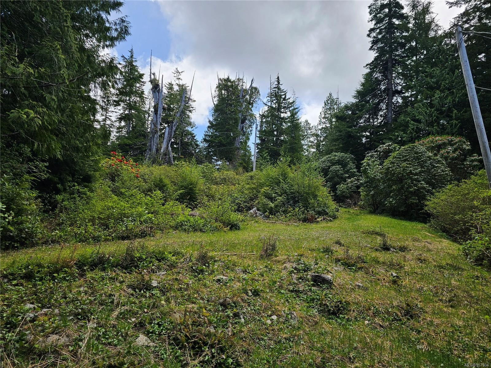 522 Burlo Island, Bamfield, BC