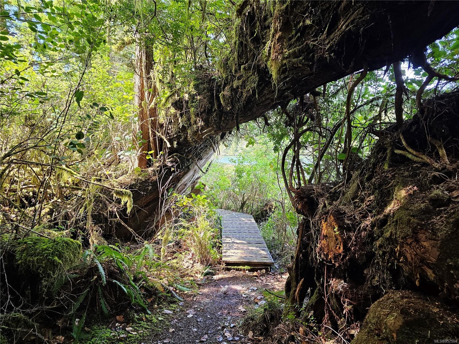 522 Burlo Island, Bamfield, BC