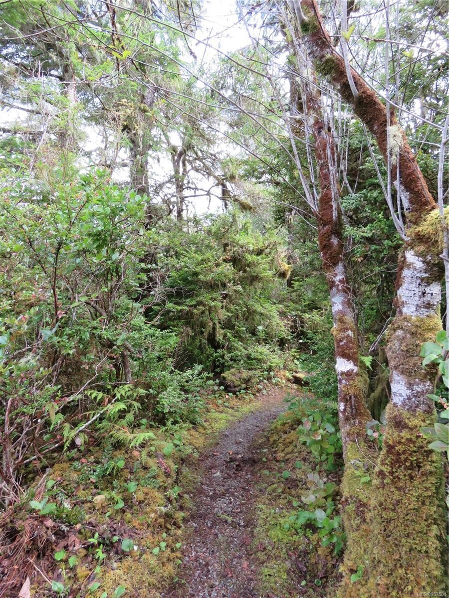 522 Burlo Island, Bamfield, BC