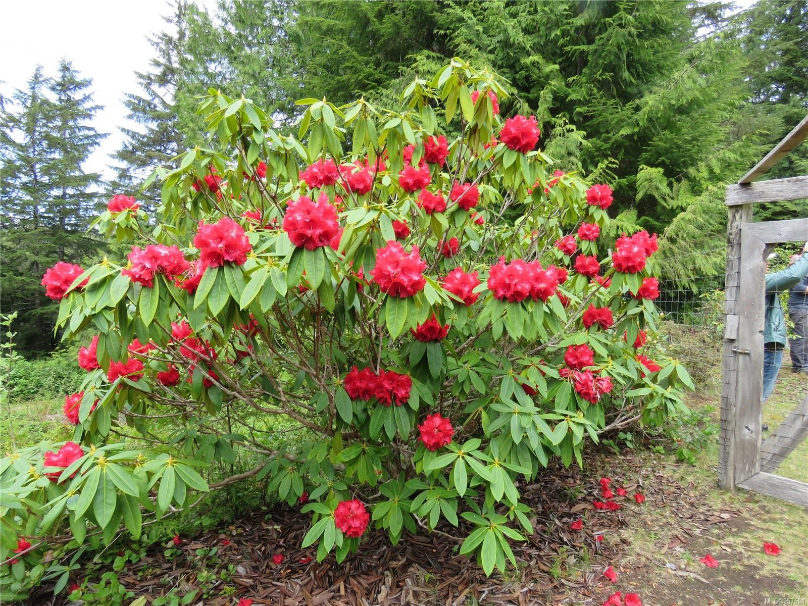 522 Burlo Island, Bamfield, BC