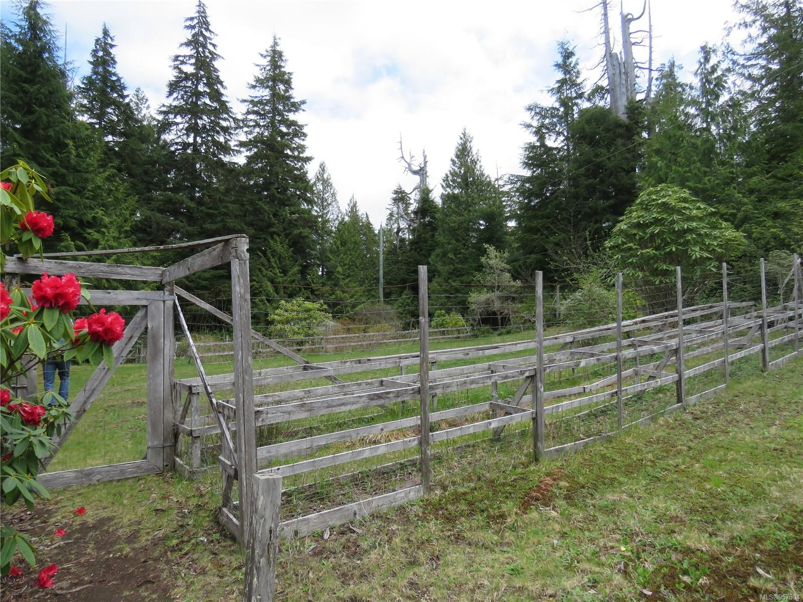 522 Burlo Island, Bamfield, BC