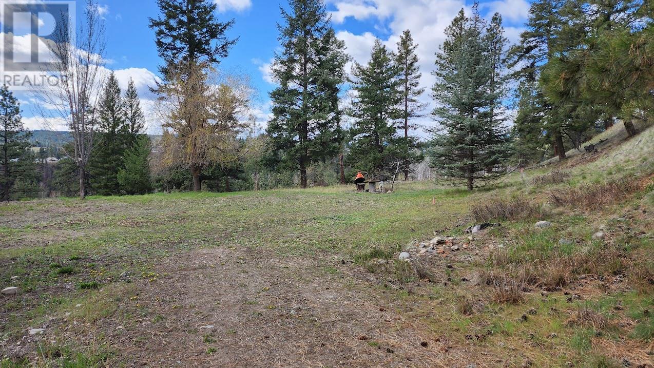 306 Jacobson Road, Princeton, BC