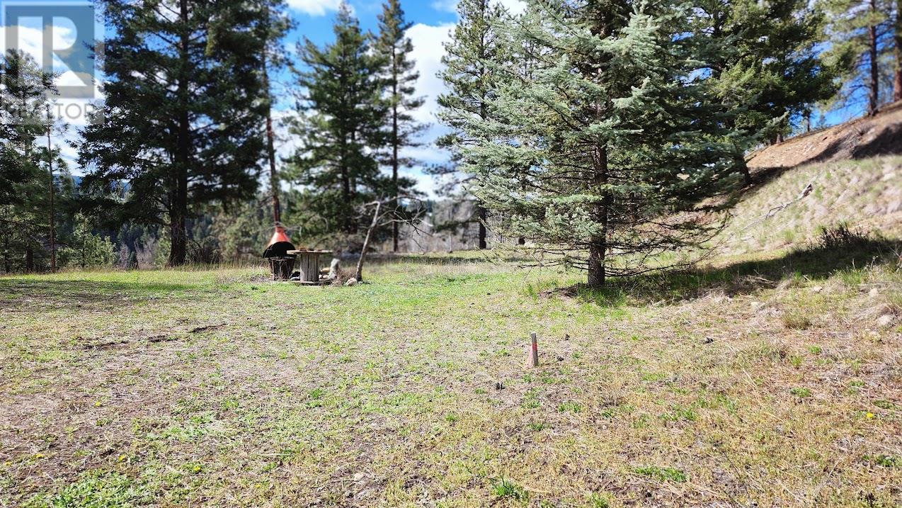 306 Jacobson Road, Princeton, BC