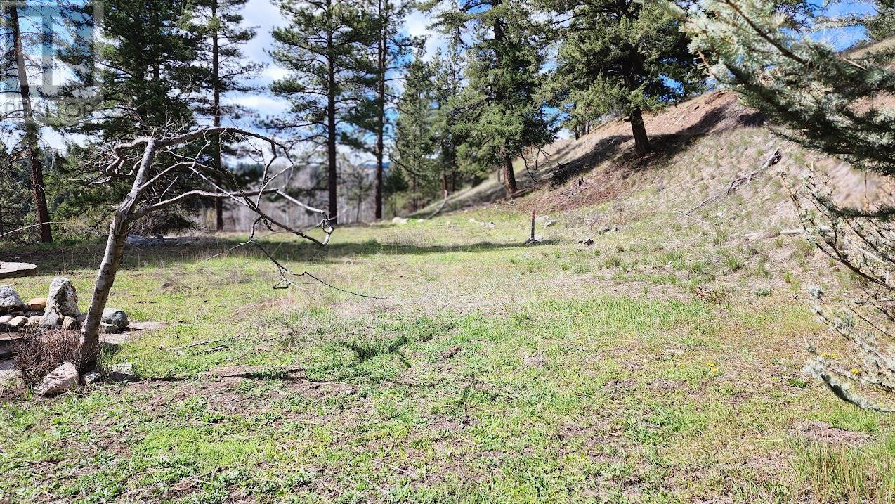 306 Jacobson Road, Princeton, BC