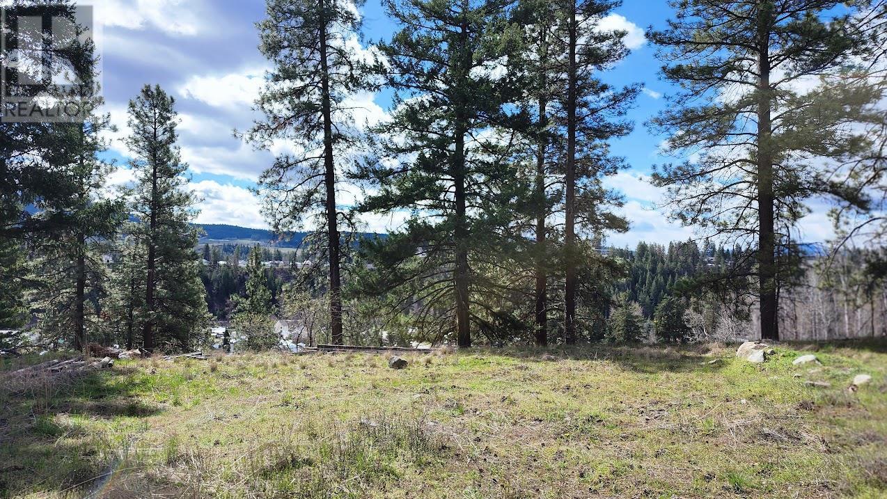 306 Jacobson Road, Princeton, BC