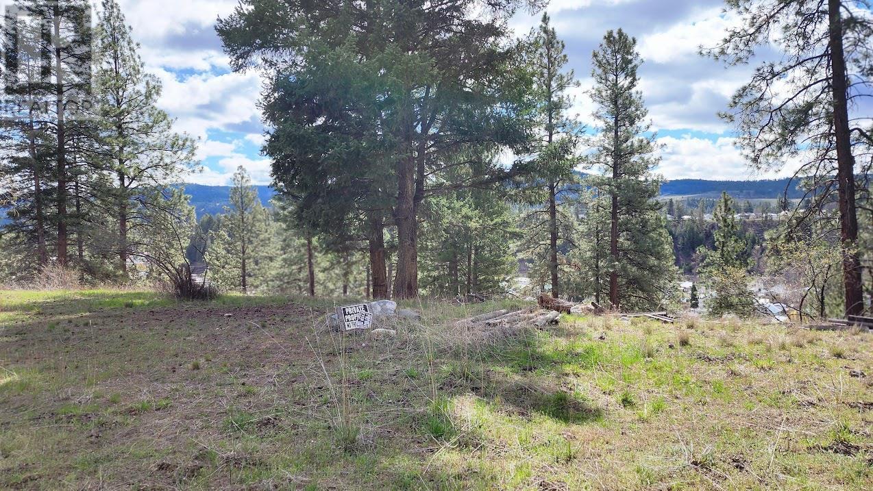 306 Jacobson Road, Princeton, BC