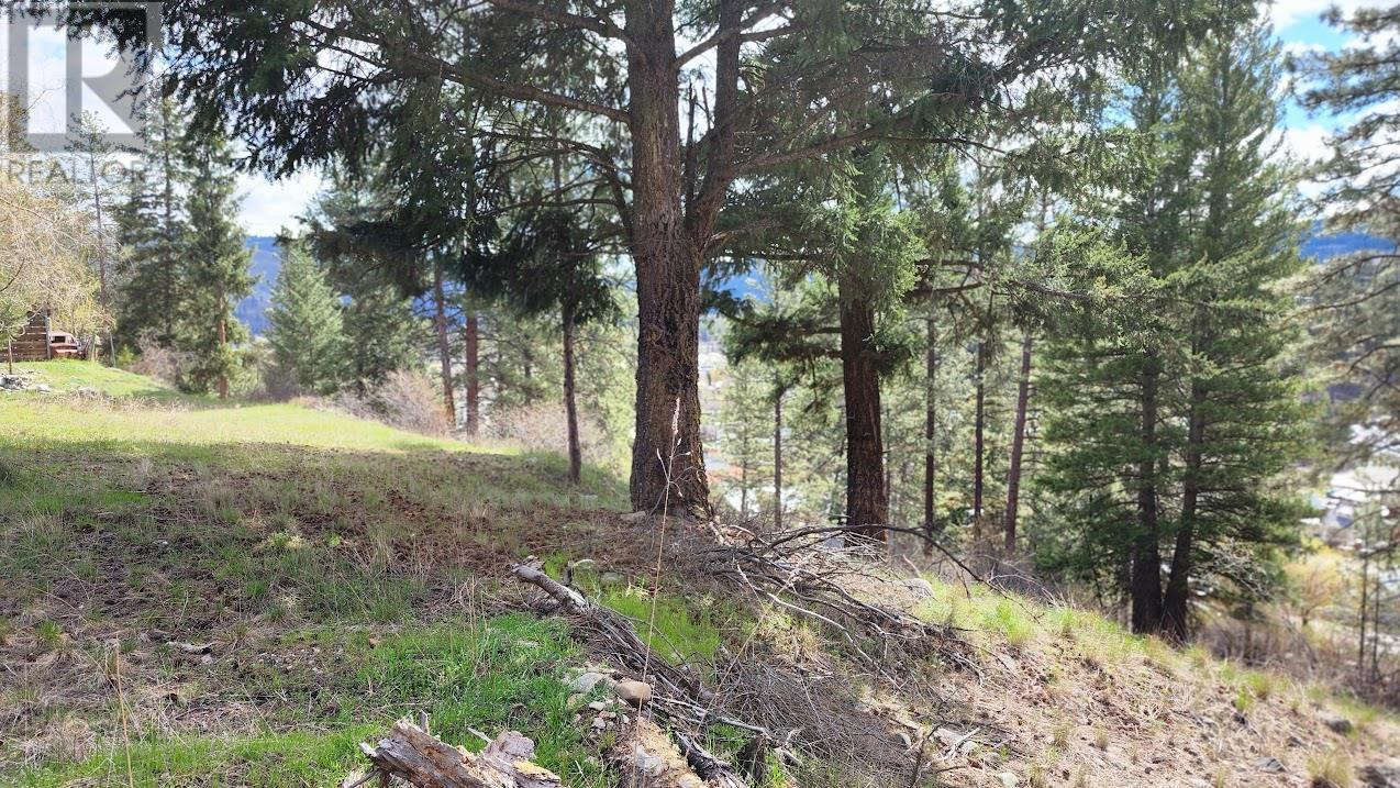 306 Jacobson Road, Princeton, BC