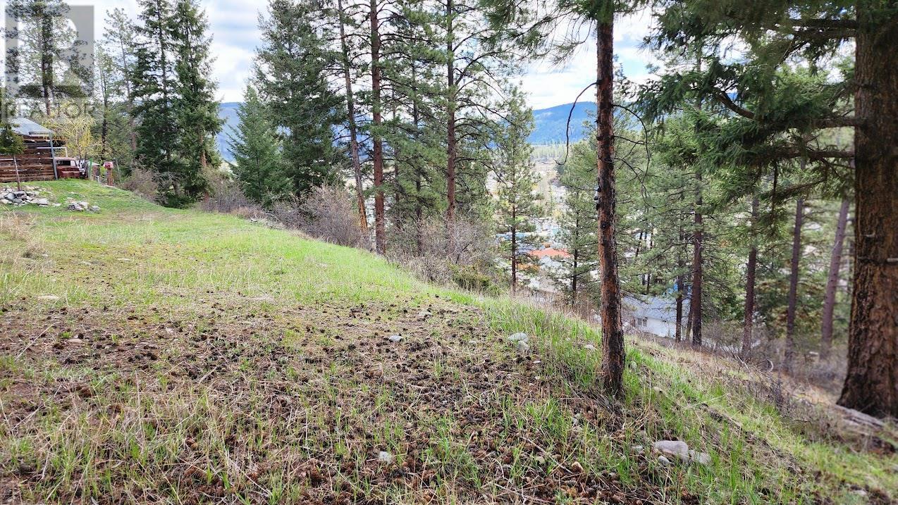 306 Jacobson Road, Princeton, BC