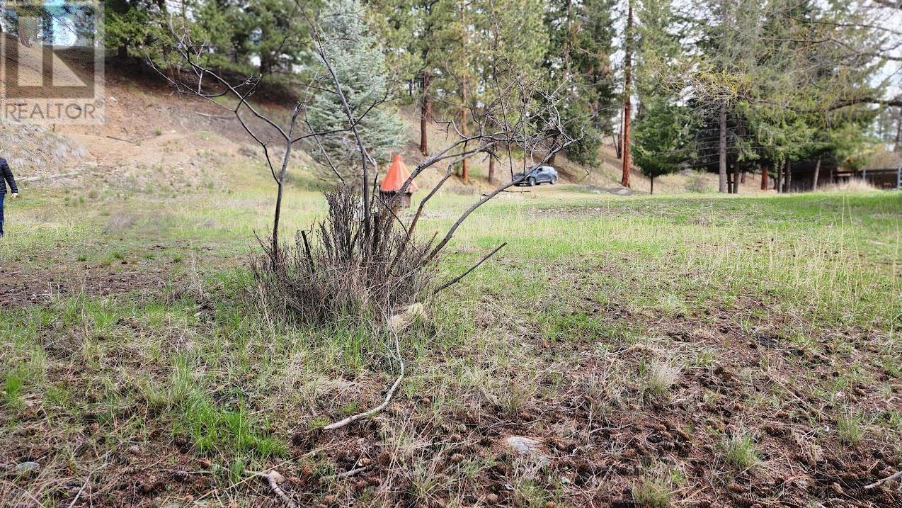 306 Jacobson Road, Princeton, BC