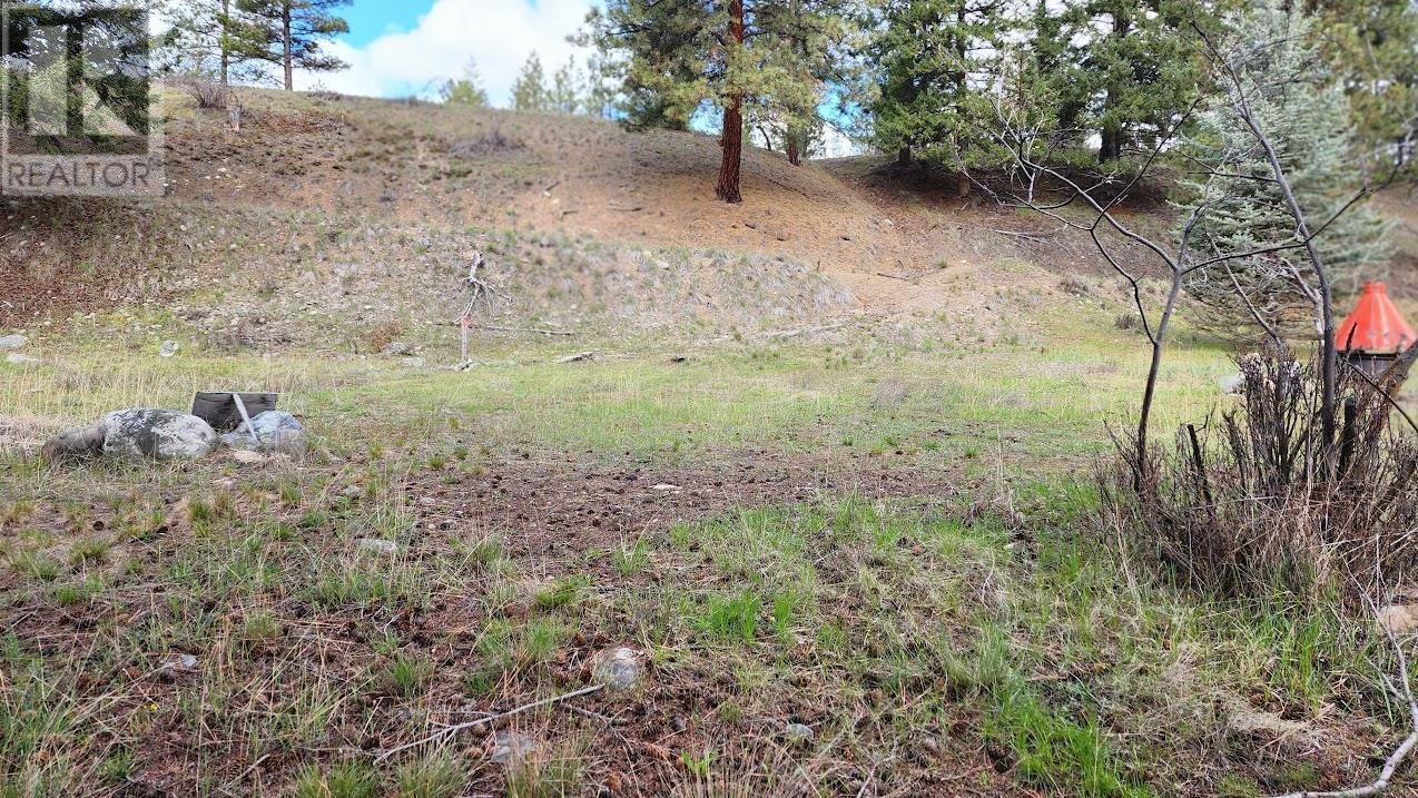 306 Jacobson Road, Princeton, BC