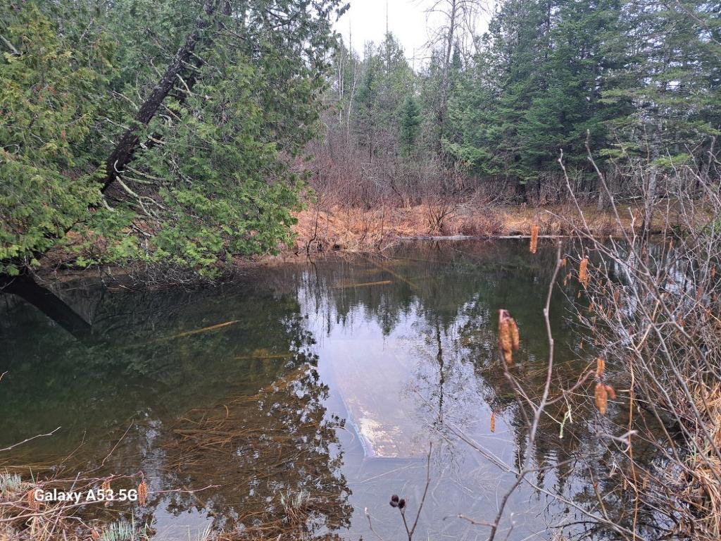 Bord de l'eau - 5 Ch. Blanchard, Gracefield, QC - Outdoor With View