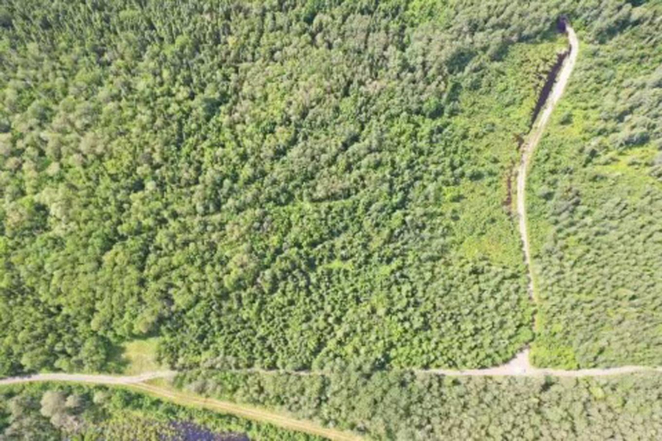 Aerial photo - 8E Rang, Saint-Joseph-De-Kamouraska, QC