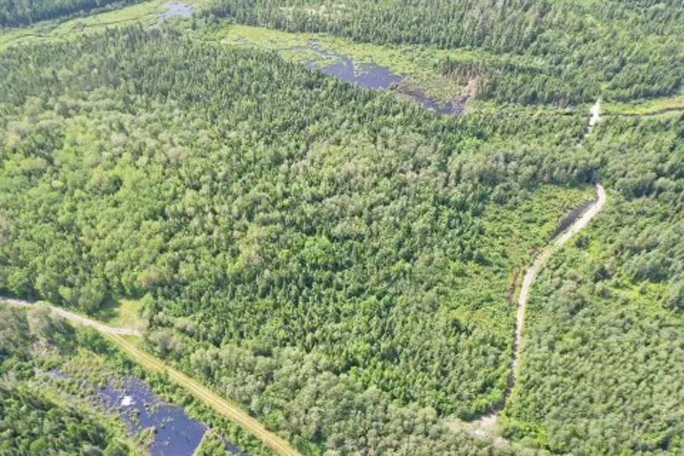 Aerial photo - 8E Rang, Saint-Joseph-De-Kamouraska, QC