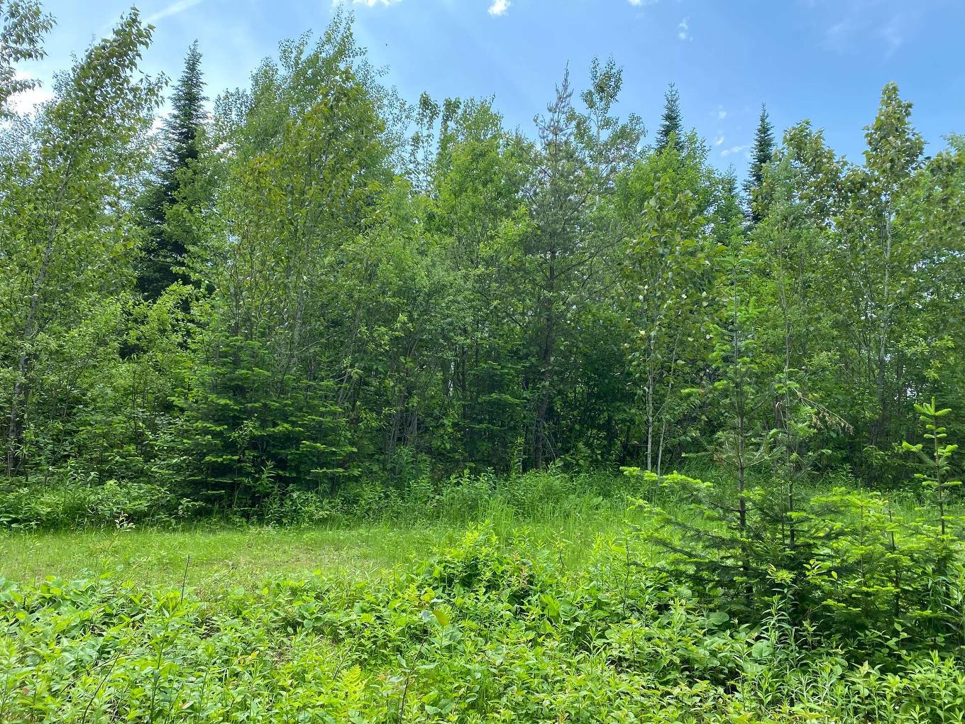 Wooded area - 8E Rang, Saint-Joseph-De-Kamouraska, QC