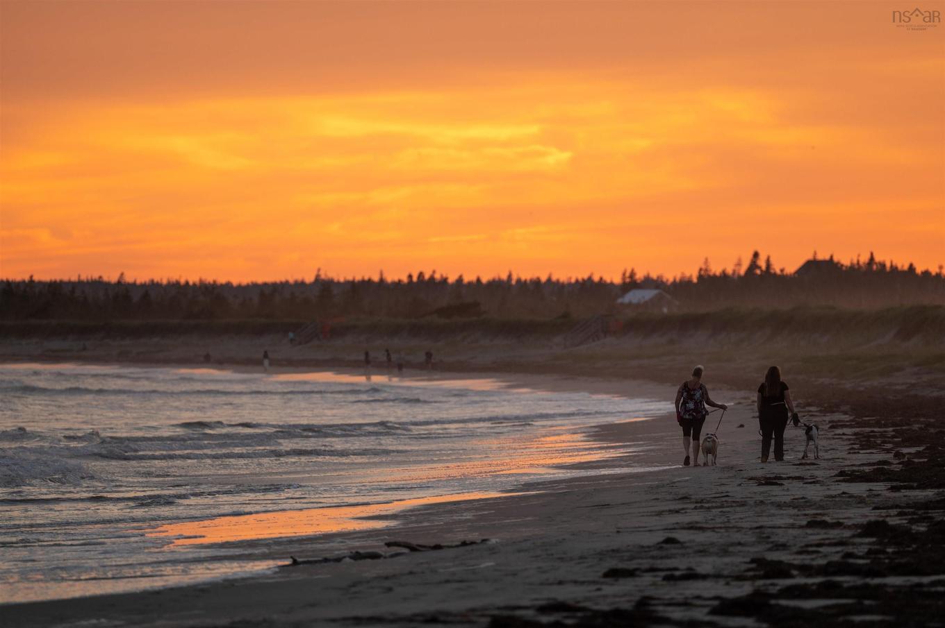 384 Owl Drive, East Petpeswick, NS