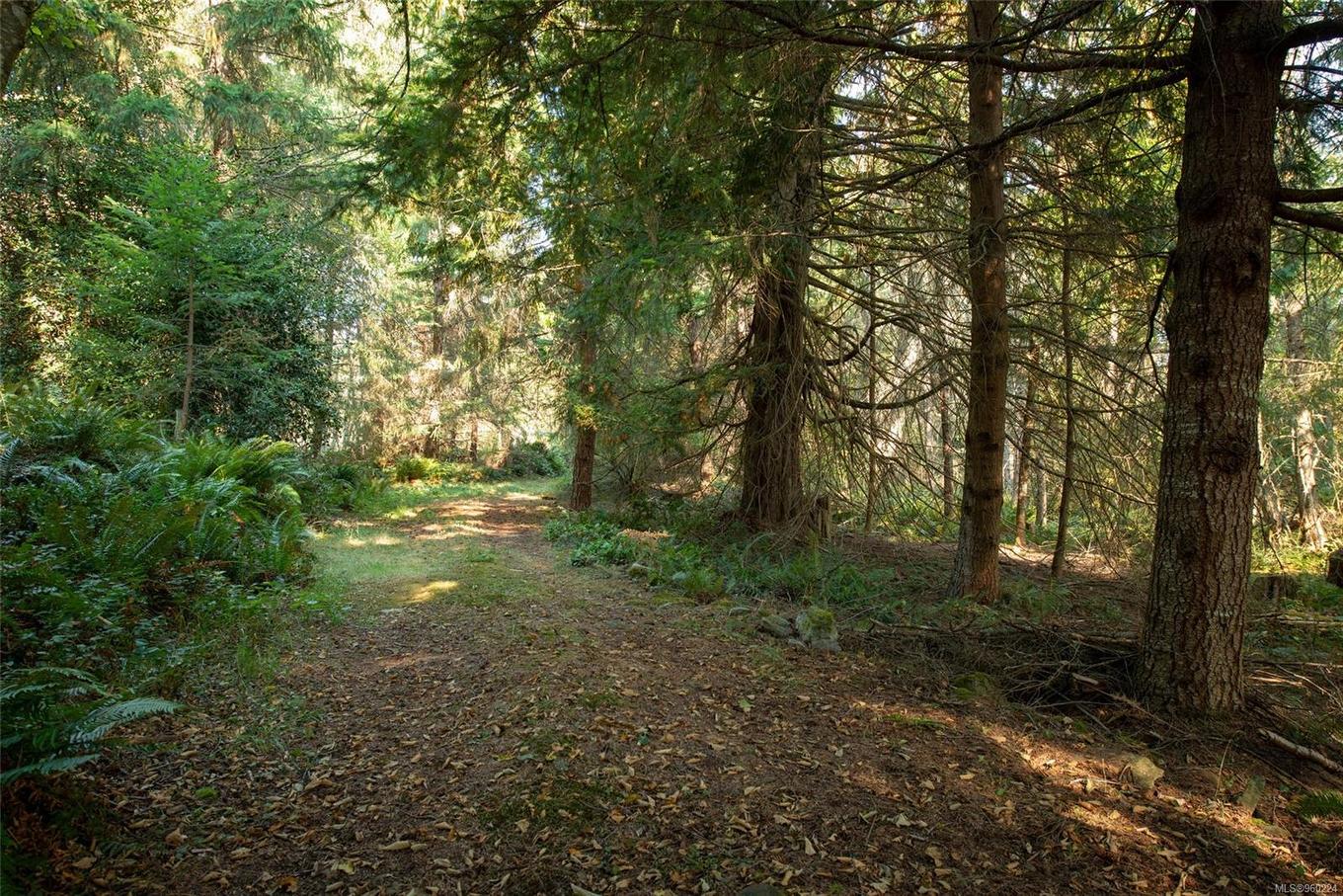 444 Blackburn Rd, Salt Spring, BC - Outdoor