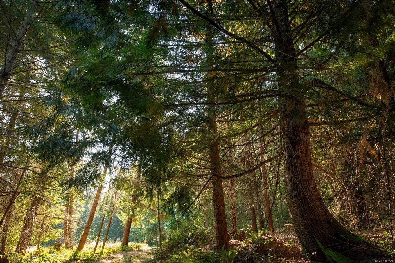 444 Blackburn Rd, Salt Spring, BC - Outdoor With View