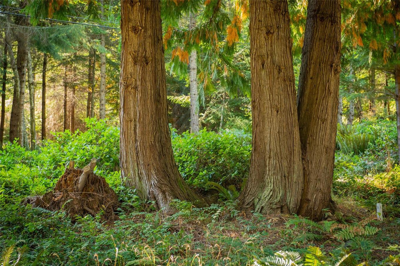 444 Blackburn Rd, Salt Spring, BC - Outdoor