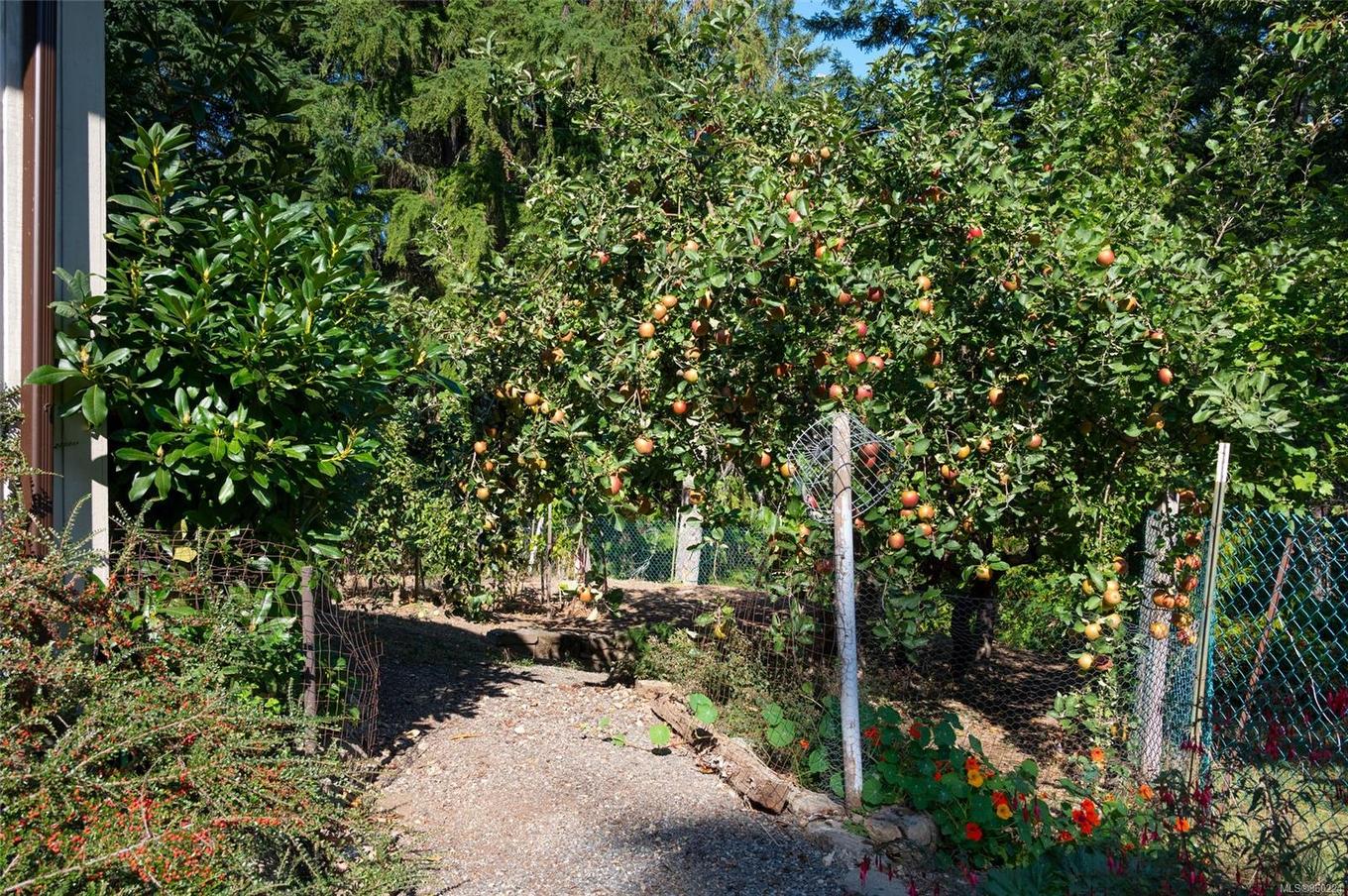 444 Blackburn Rd, Salt Spring, BC - Outdoor