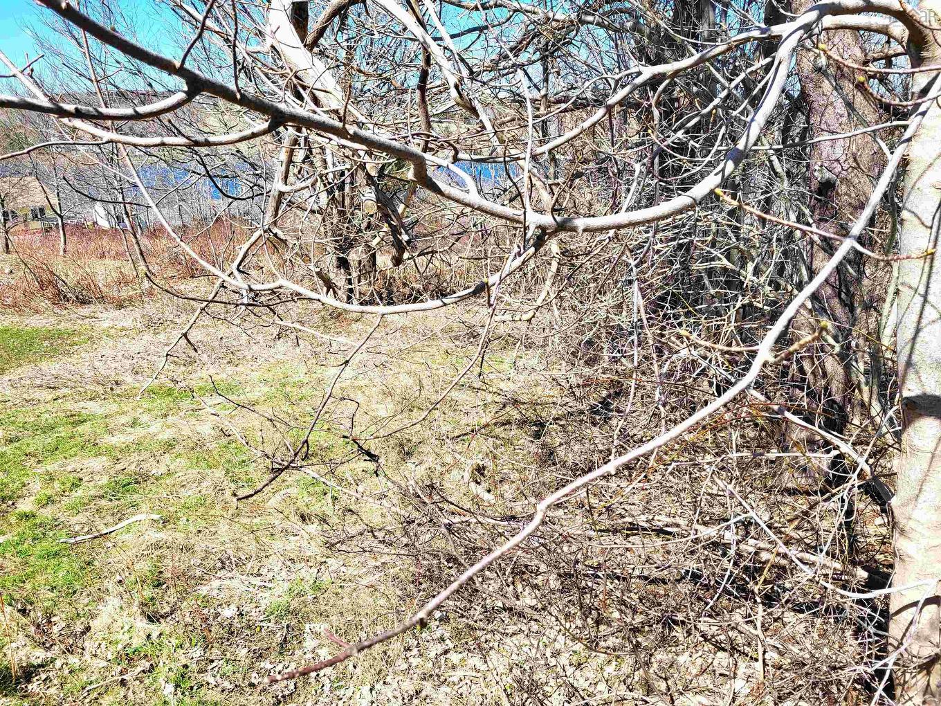 Lot 8 Creighton Street, Lunenburg, NS