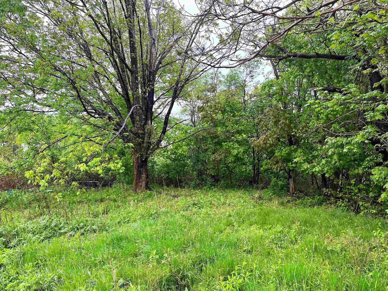 Lot 8 Creighton Street, Lunenburg, NS