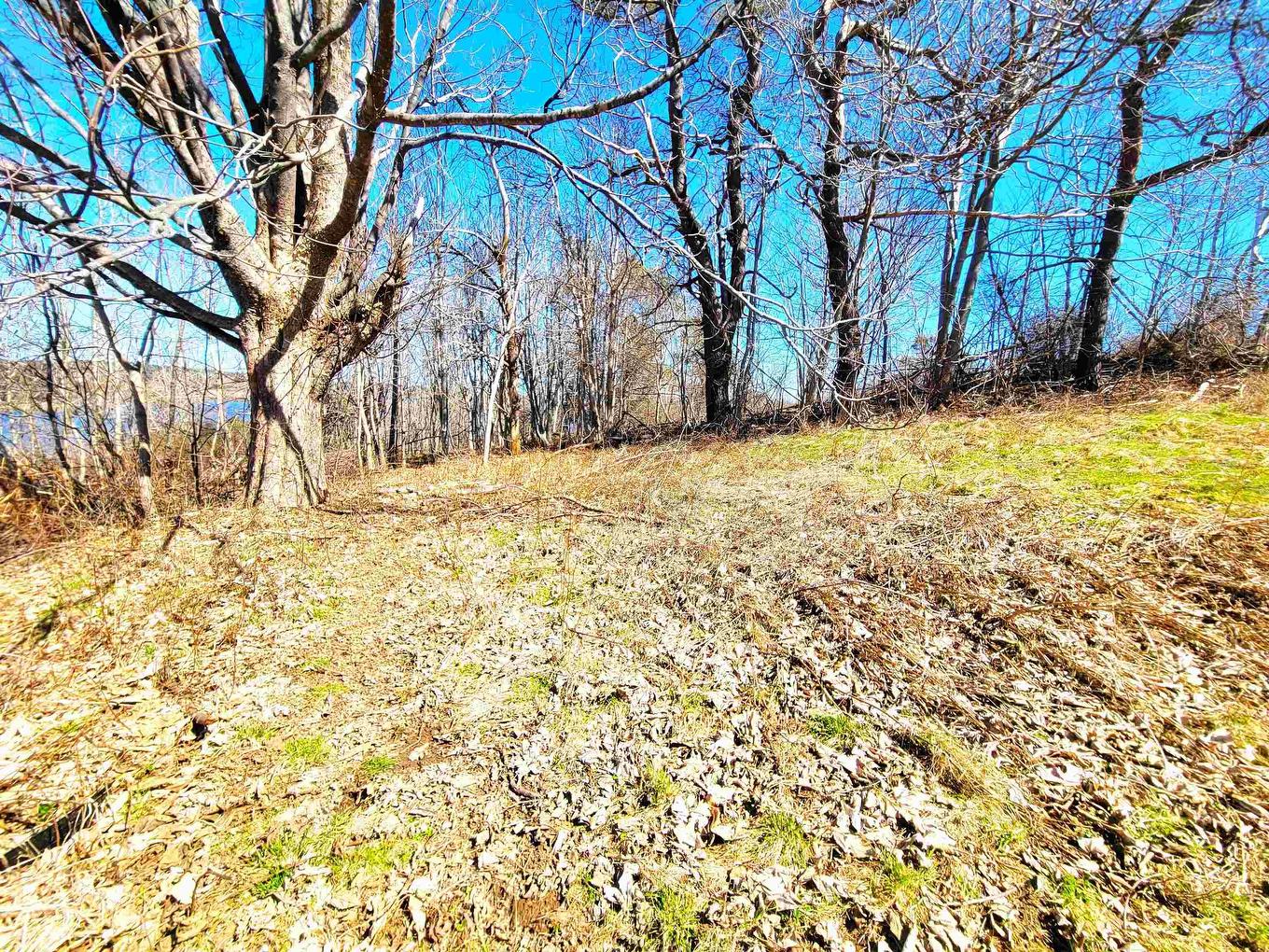 Lot 8 Creighton Street, Lunenburg, NS