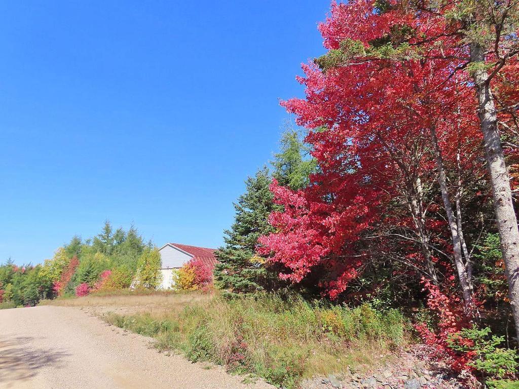 62 Acres West Side Road, West Side Country Harbour, NS