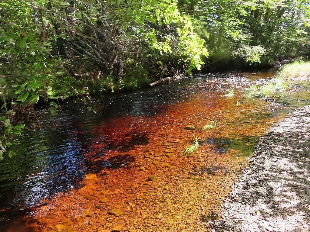 62 Acres West Side Road, West Side Country Harbour, NS