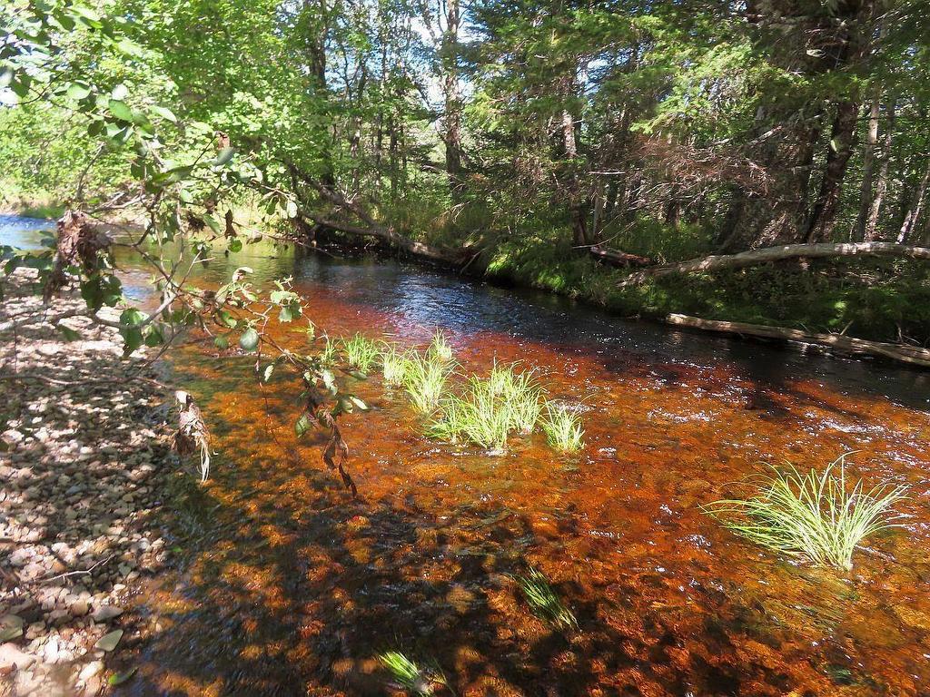 62 Acres West Side Road, West Side Country Harbour, NS