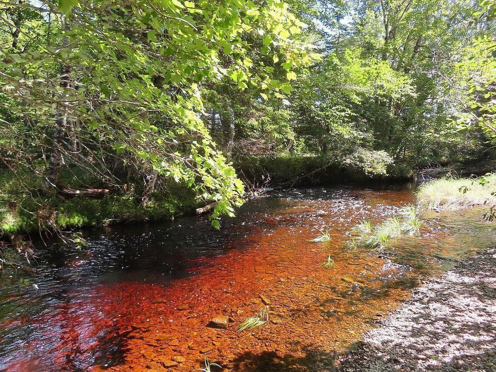 62 Acres West Side Road, West Side Country Harbour, NS