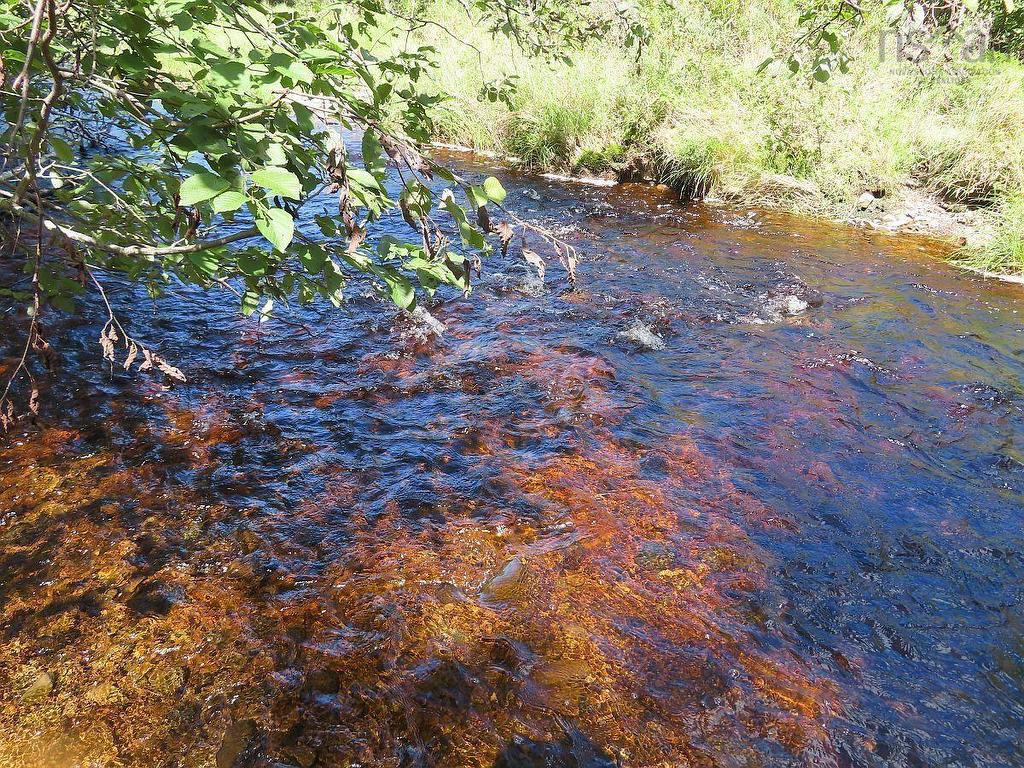 62 Acres West Side Road, West Side Country Harbour, NS