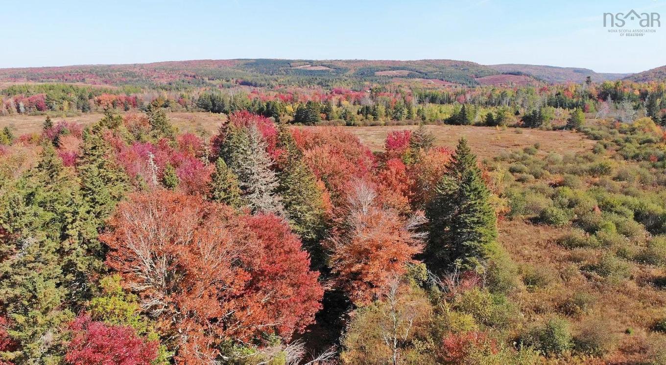 62 Acres West Side Road, West Side Country Harbour, NS