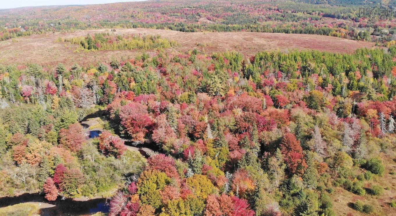 62 Acres West Side Road, West Side Country Harbour, NS