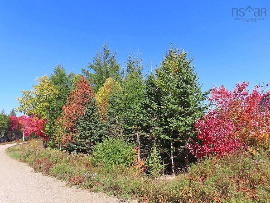 62 Acres West Side Road, West Side Country Harbour, NS