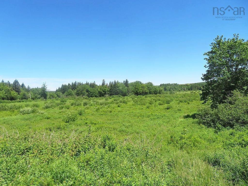 62 Acres West Side Road, West Side Country Harbour, NS