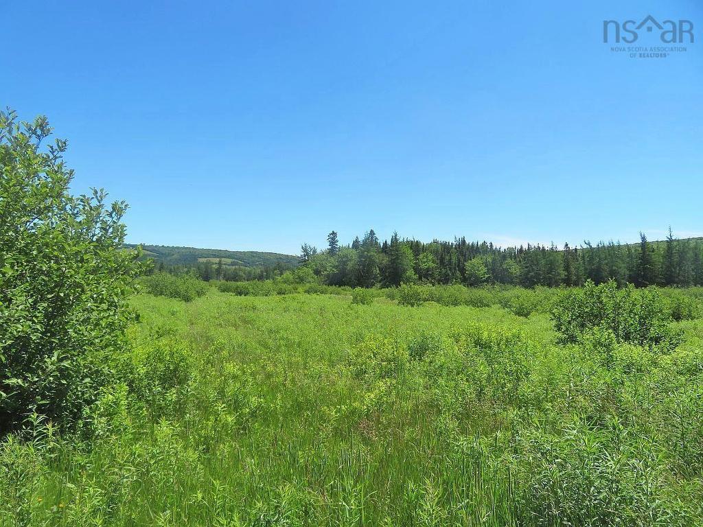 62 Acres West Side Road, West Side Country Harbour, NS